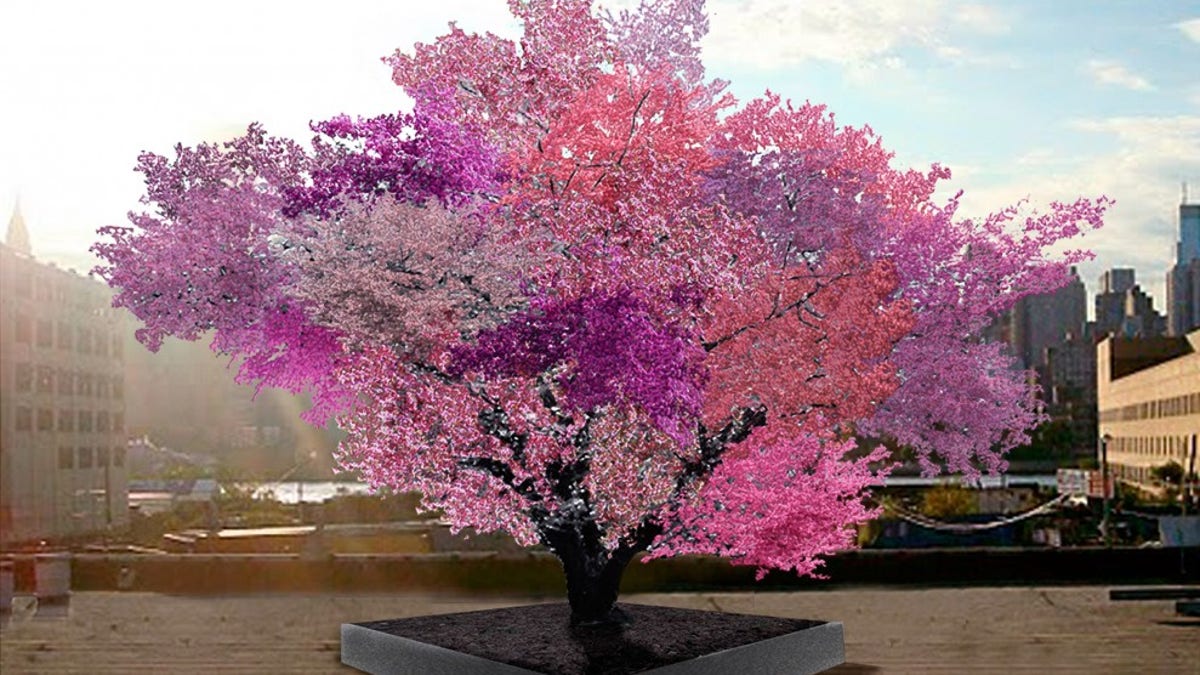 The Tree of 40 Fruit is exactly as awesome as it sounds | Fox News