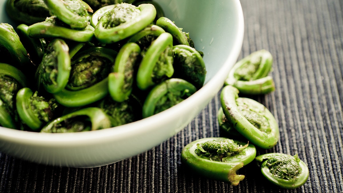 fiddleheads istock