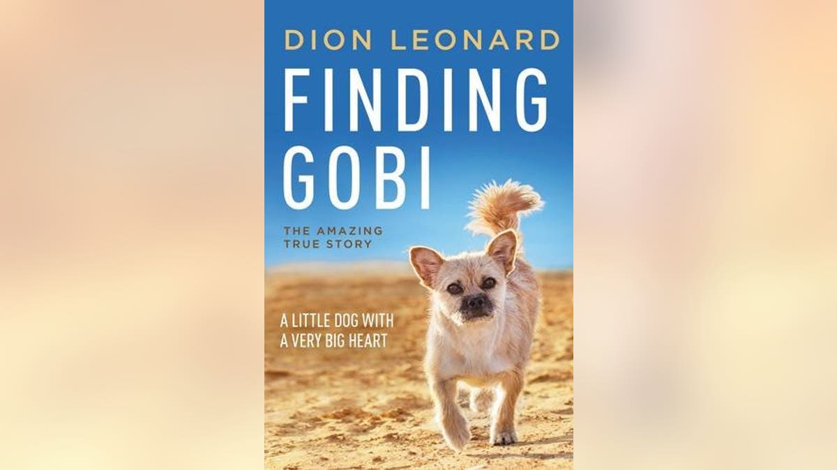 Finding Gobi book cover