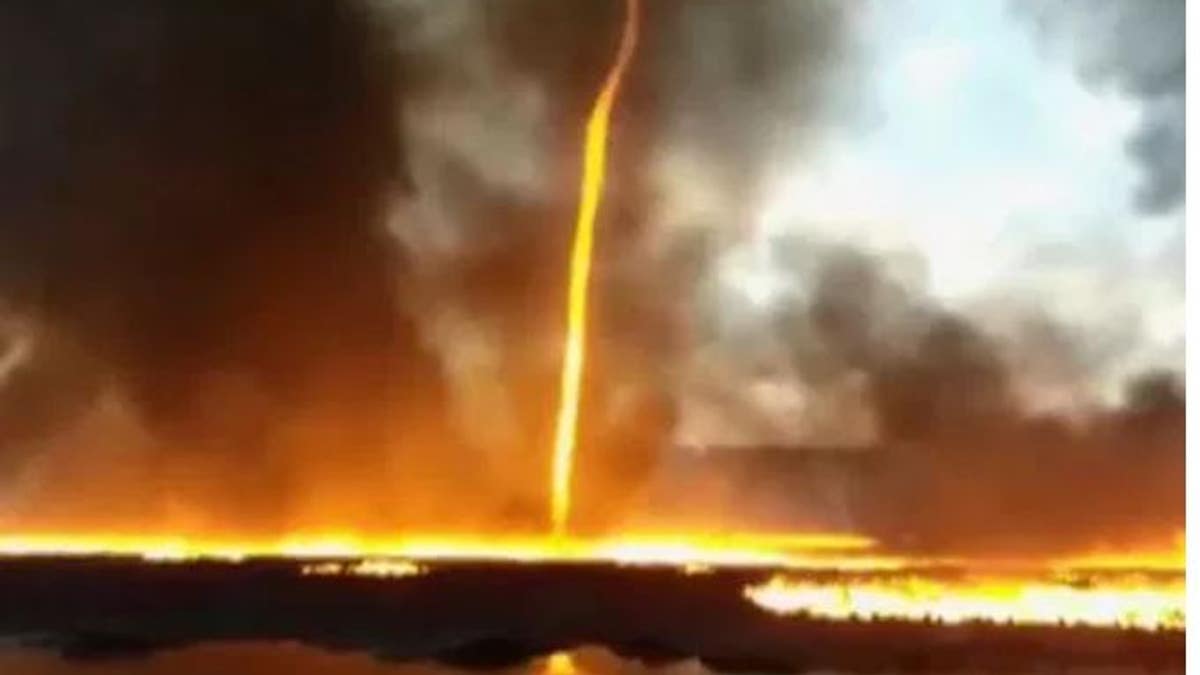 e4e0198c-firenado capture