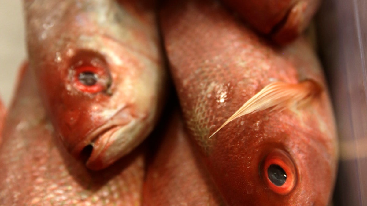 Red Snapper seafood is seen on display at the Safeway store in Wheaton, Maryland February 13, 2015. REUTERS/Gary Cameron (UNITED STATES) - RTR4PJ5V