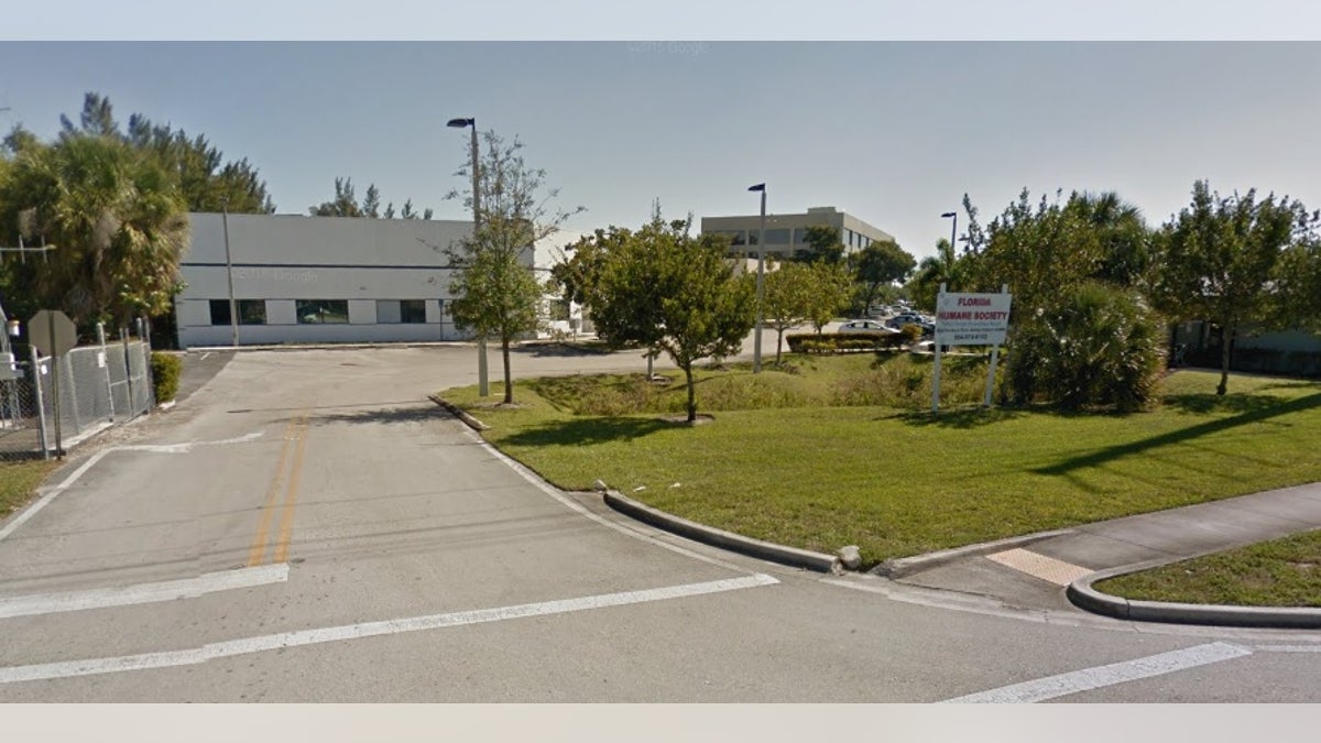 fl humane society 629