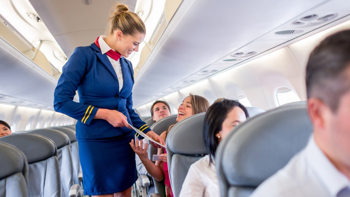 flight attendant