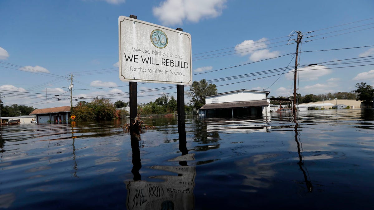 Hundreds of fish stranded on I-40 after Hurricane Florence floodwaters  recede