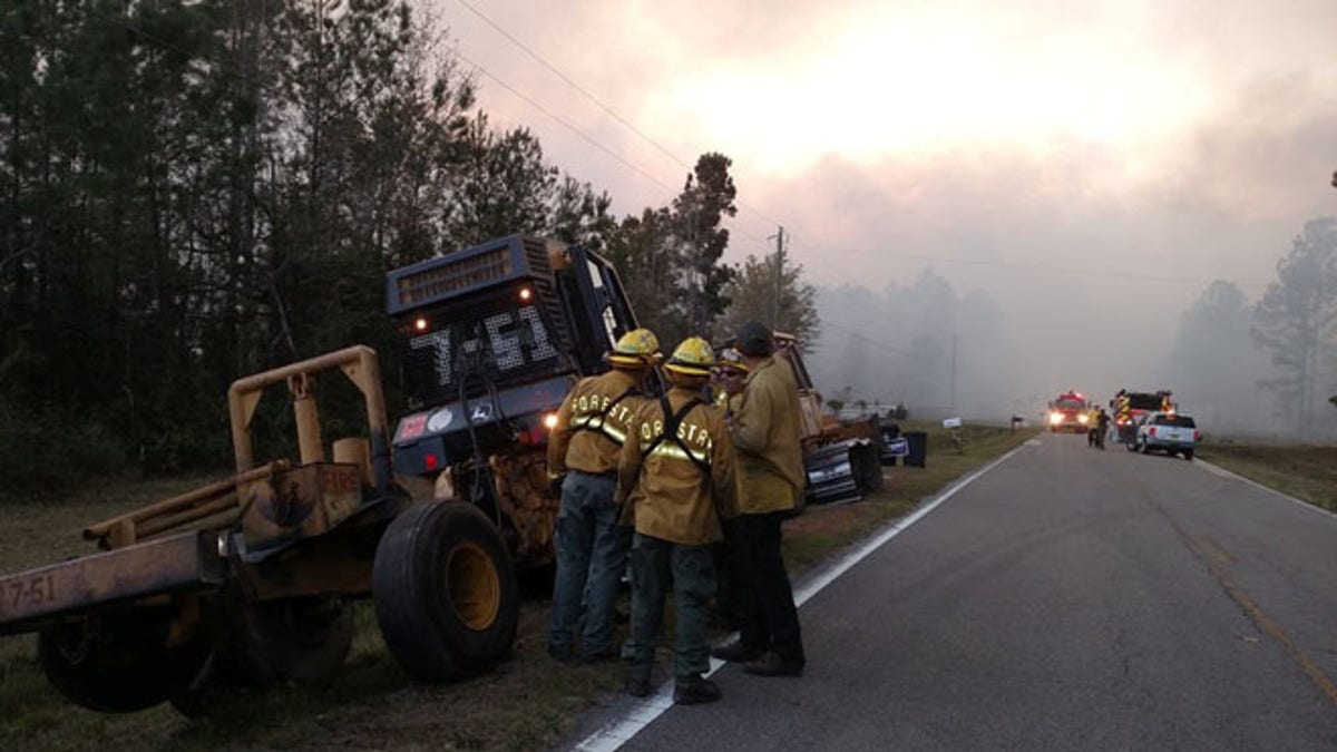 florida wildfire 411