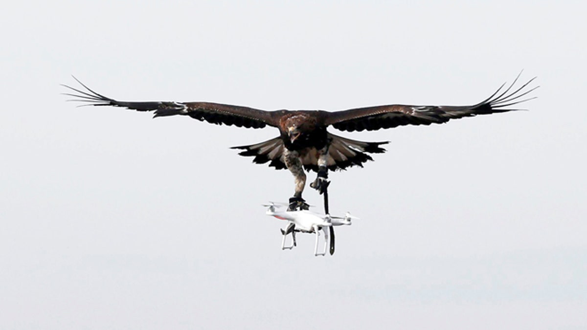 france-eagles-drones2