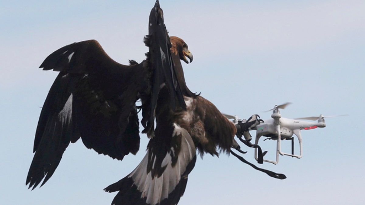 france-eagles-drones3