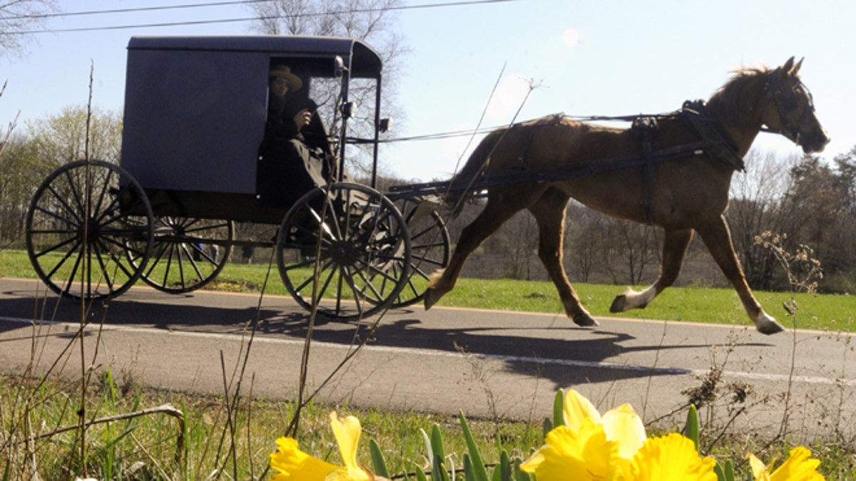 Free Things-Pennsylvania Amish Country