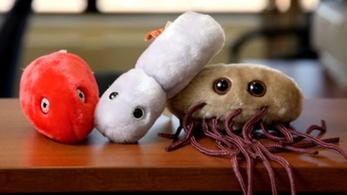 Germ plush shop toys