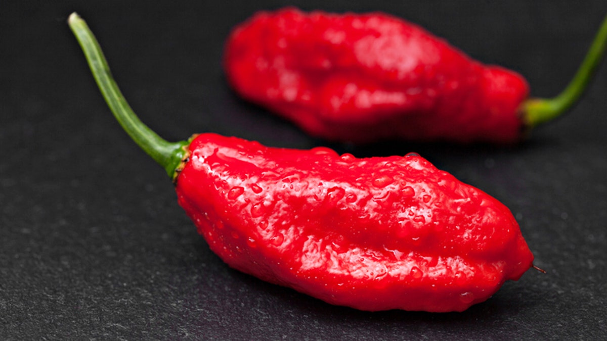 ghostpepper