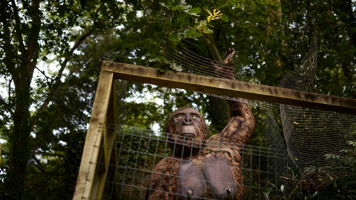 Gigantopithecus