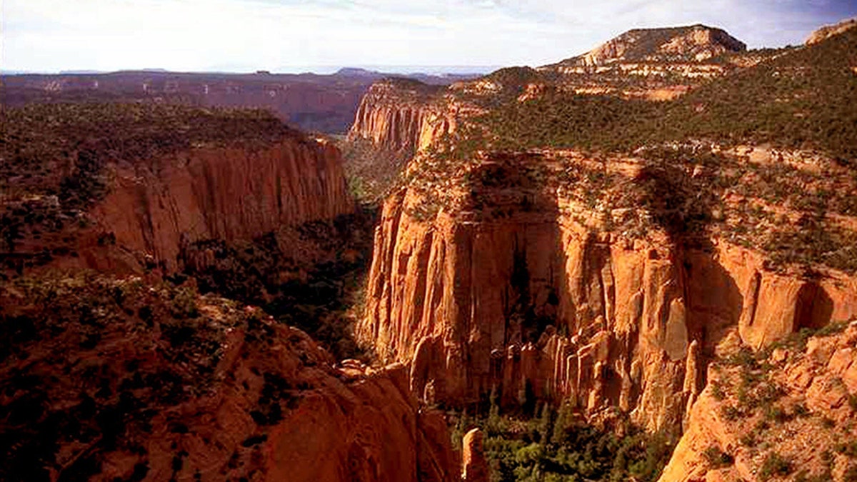 FILE - In this undated file photo, the Upper Gulch section of the Escalante Canyons within Utah's Grand Staircase-Escalante National Monument features sheer sandstone walls, broken occasionally by tributary canyons. Utah has long stood out for going far beyond other Western states in trying to get back control of its federally protected lands. When President Donald Trump on Monday, Dec. 4, 2017, announces he's going to shrink two national monuments in the state, his warm welcome will stand out in a region that is normally protective of its parks and monuments. (AP Photo/Douglas C. Pizac, File)