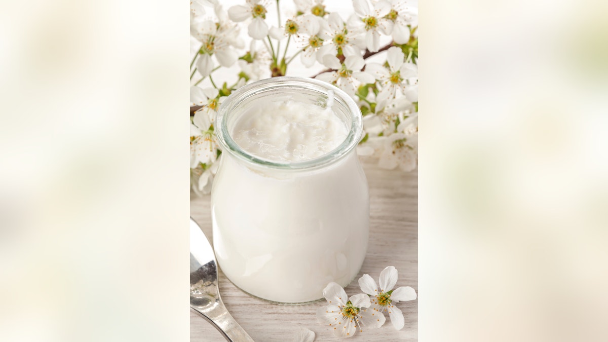 Fresh greek yogurt with white flower background
