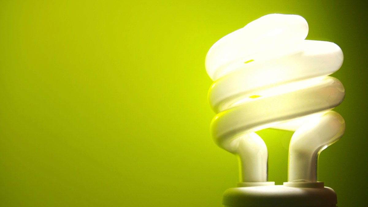 Eco Friendly Light Bulbs May Be