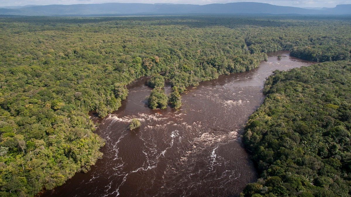 GuyanaForestsRivers