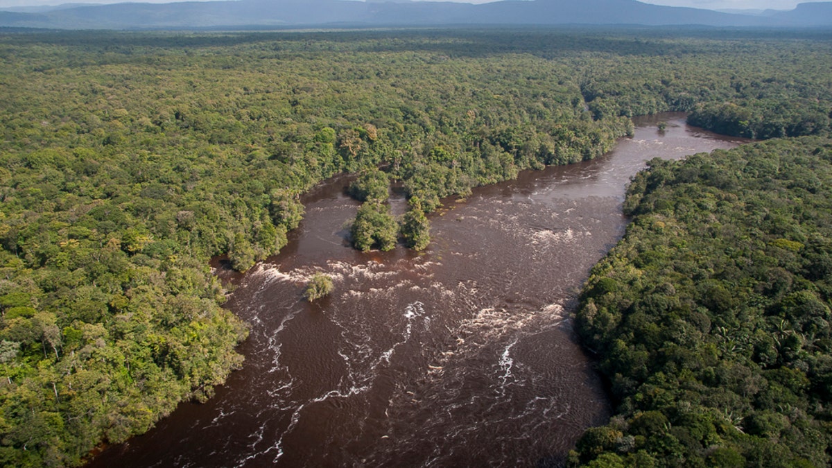 GuyanaForestsRivers