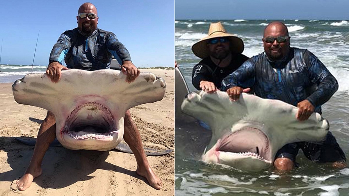 Texas fisherman reels in 14-foot hammerhead shark, calls it 'catch