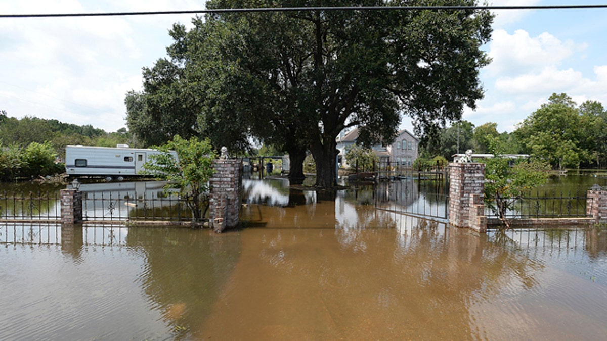 harvey update 3