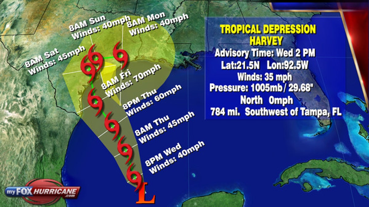 Harvey Track 2pm