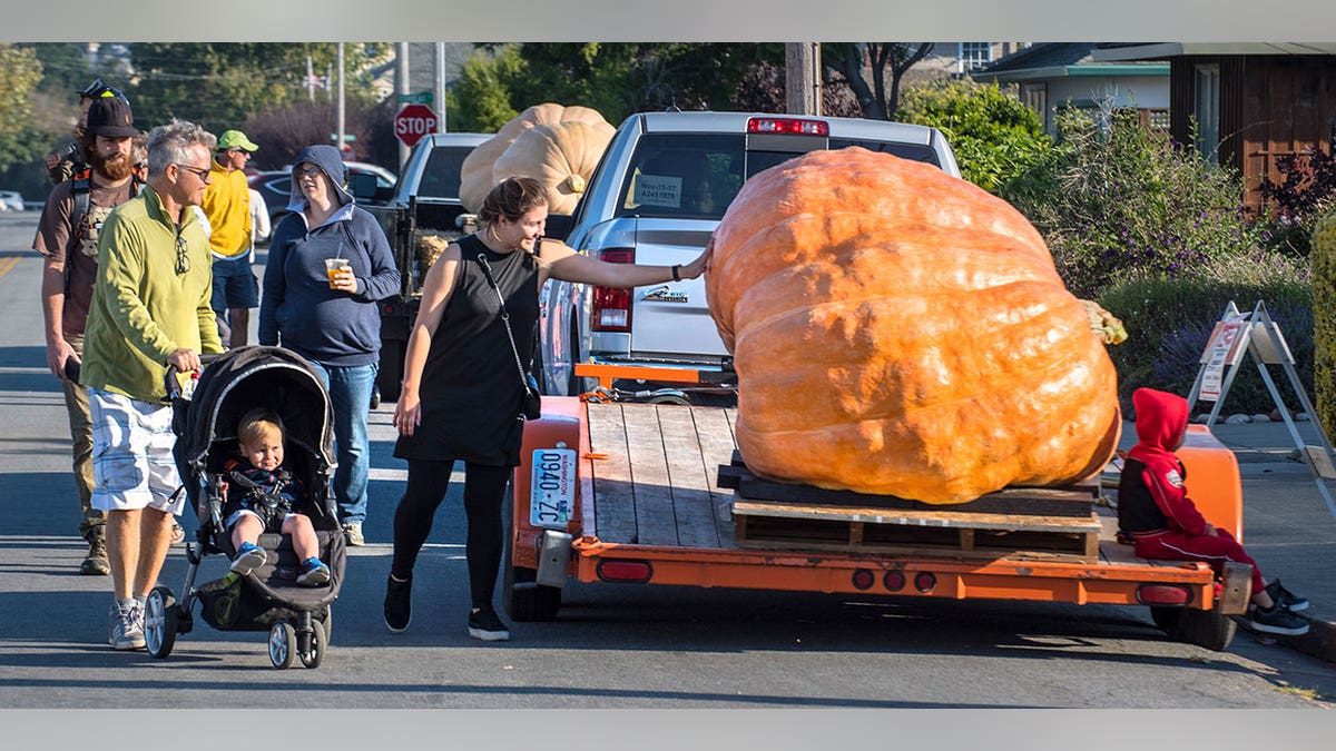 heaviest pumpkin ap 5