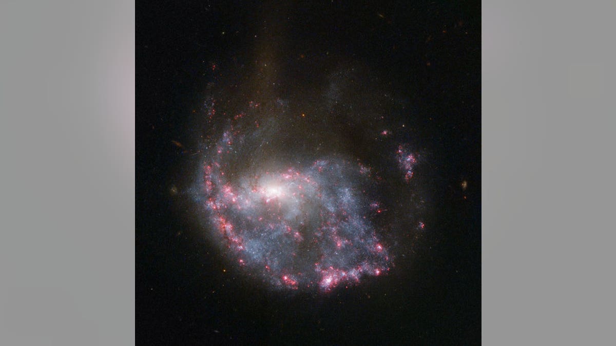 Hubble view of NGC 922