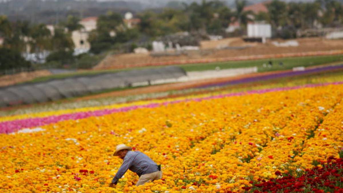 57470512SH005_migrants