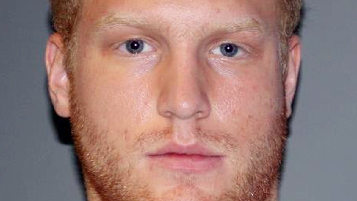 Driver charged in fatal hitandrun of Michigan firefighter Fox News(00)