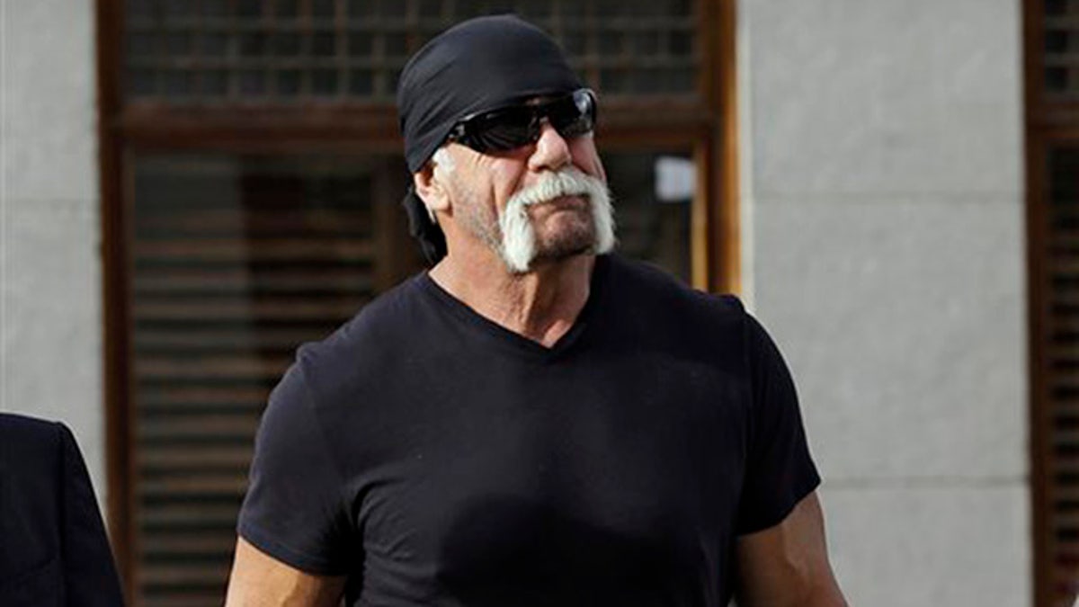 People Hulk Hogan WWE
