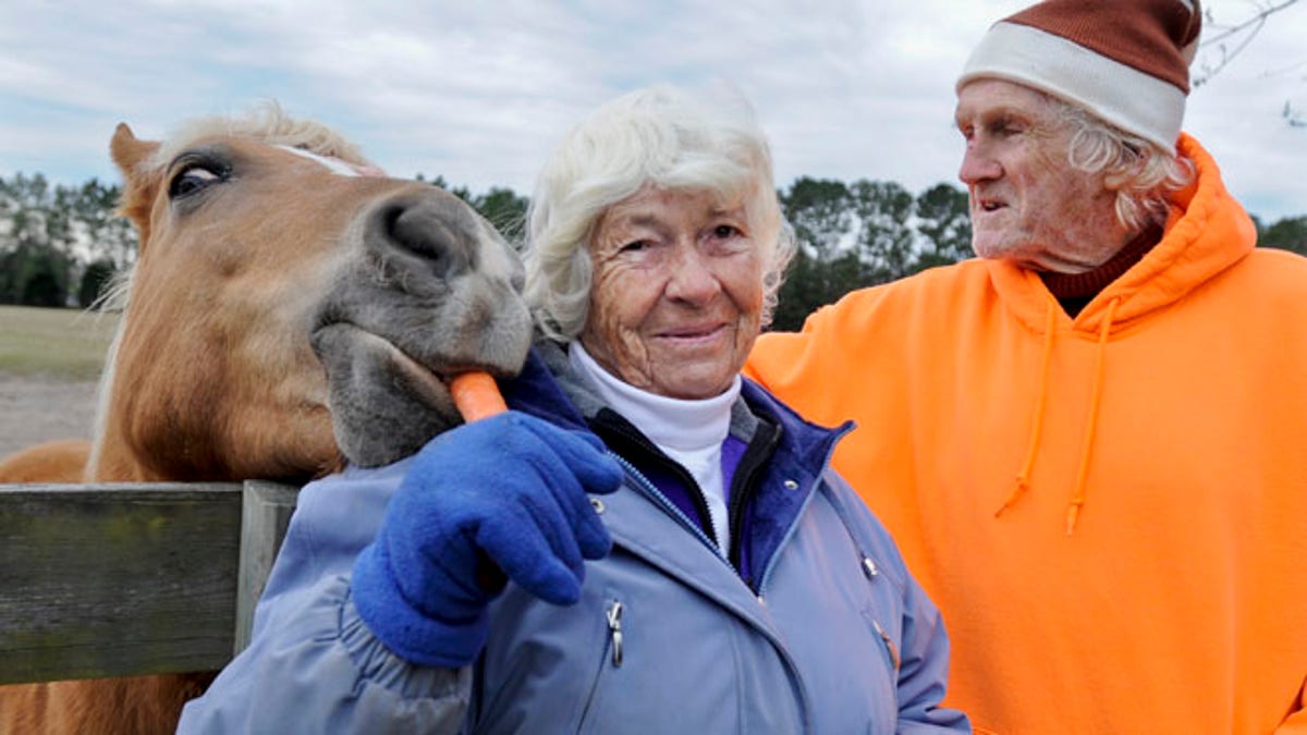 Horse Retirement Farm