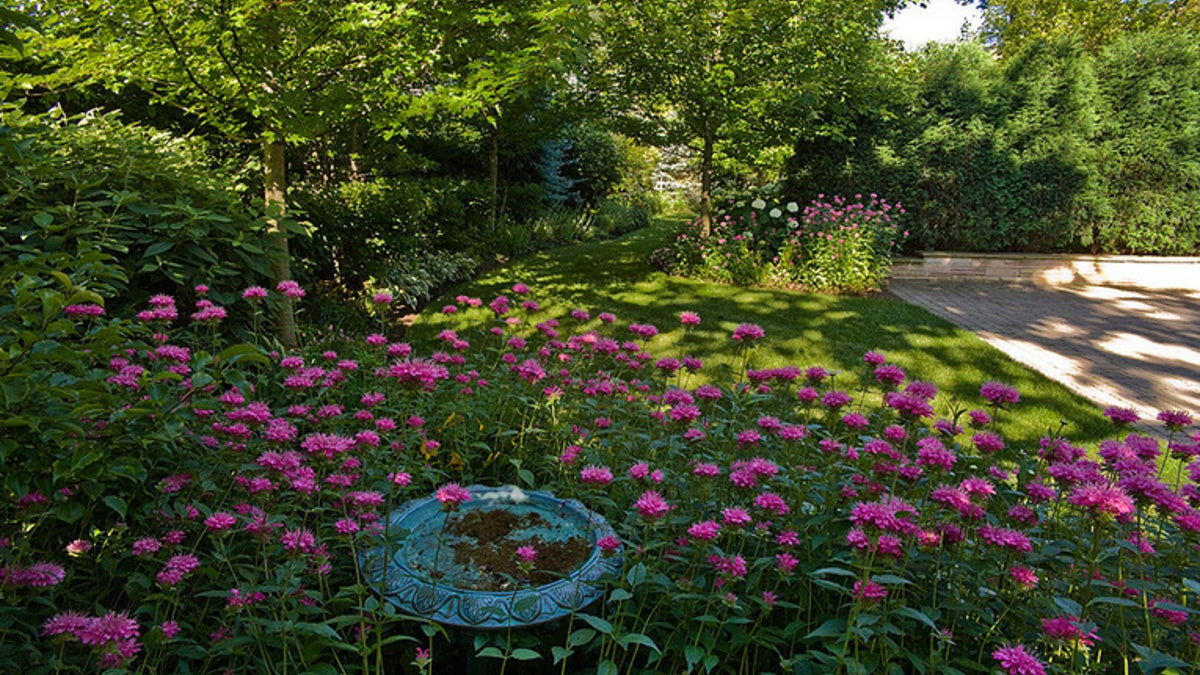 Houzz_Beebalm1