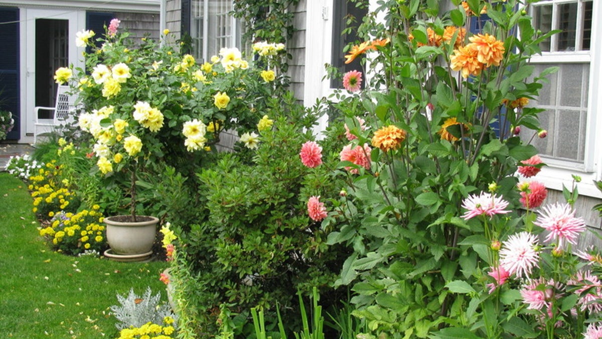 Houzz_Bouquet2