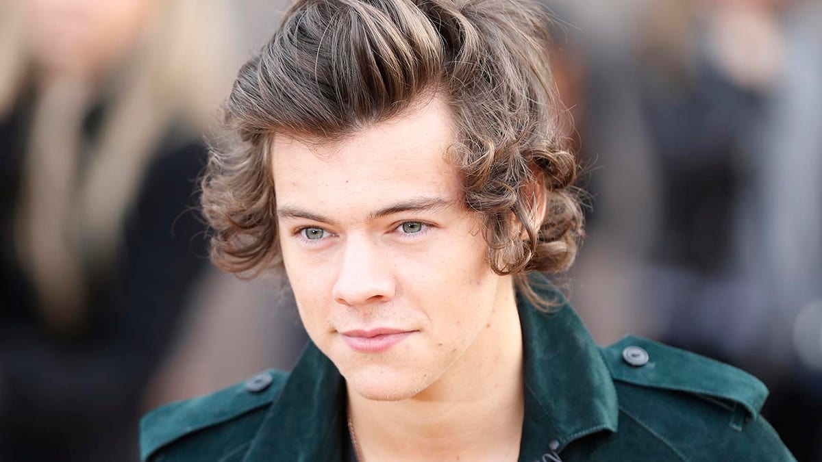 British singer Harry Styles from the band One Direction arrives to attend the presentation of the Burberry Autumn/Winter 2014 collection during London Fashion Week February 17, 2014. REUTERS/Olivia Harris (BRITAIN - Tags: FASHION HEADSHOT ENTERTAINMENT) - GM1EA2H1U1101