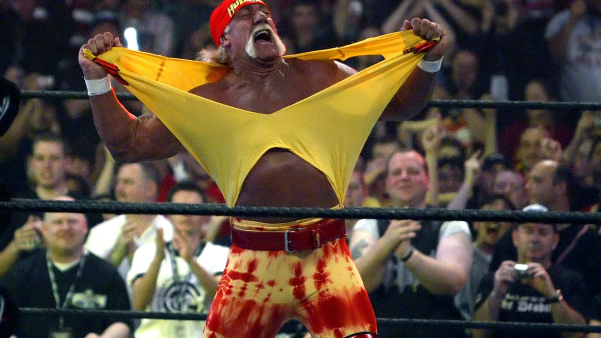 Hogan WWE Return