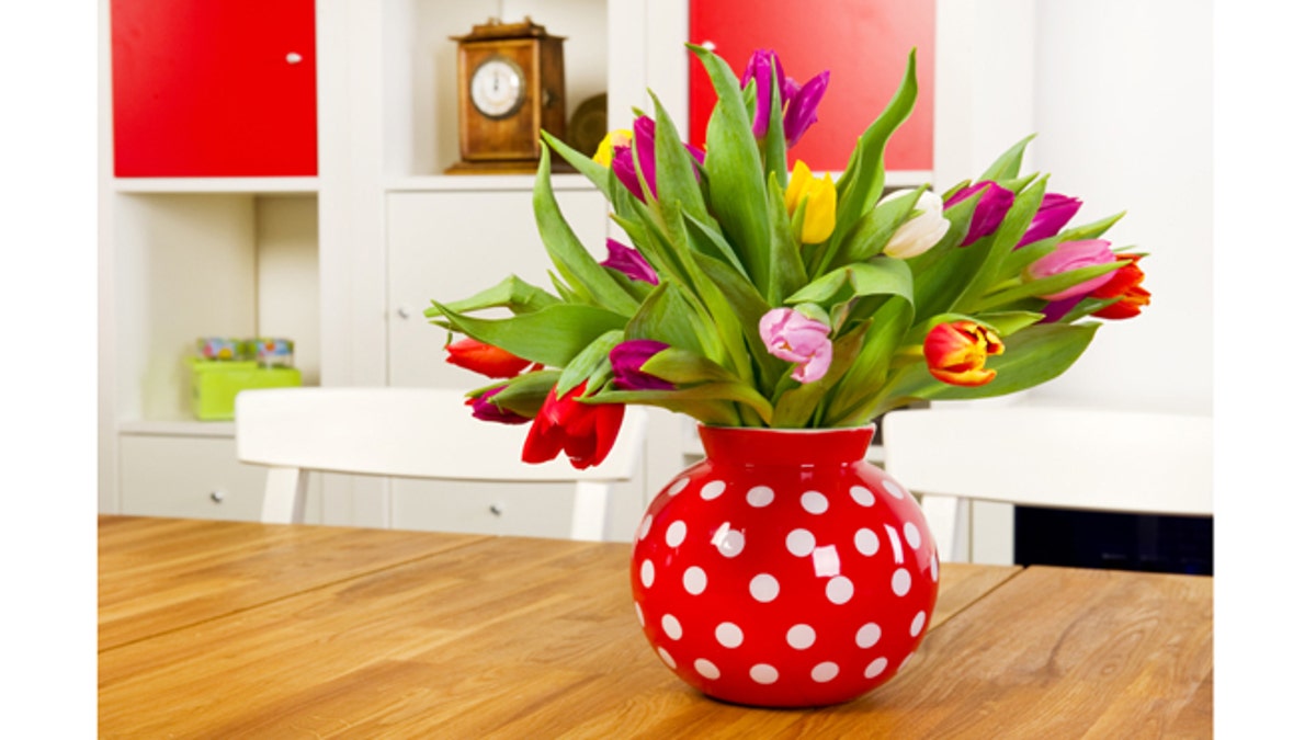 Tulips in vase