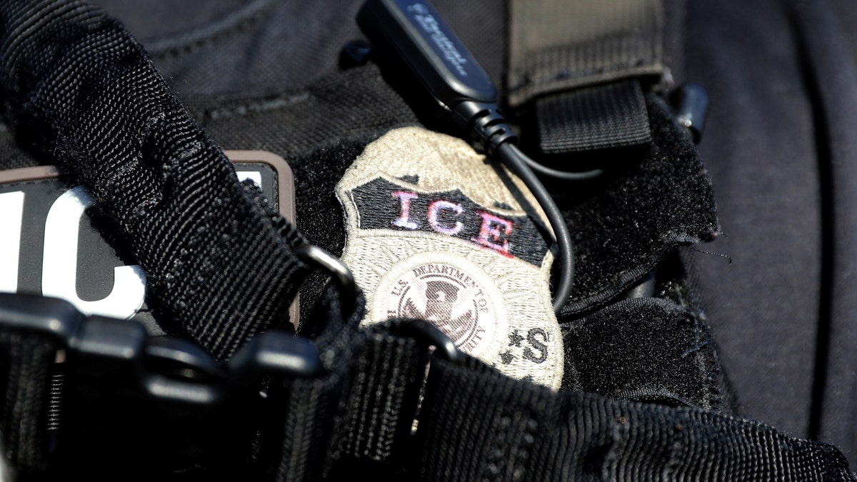 461eec54-ice badge