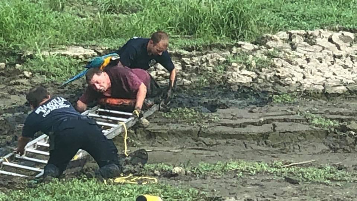 illinois parrot rescue