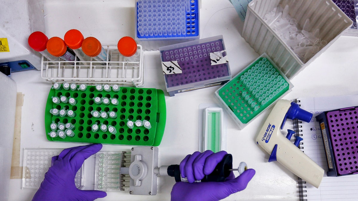 A scientist prepares protein samples for analysis in a lab at the Institute of Cancer Research in Sutton, July 15, 2013. Picture taken July 15, 2013. To match Insight CANCER-DRUGS/ REUTERS/Stefan Wermuth (BRITAIN - Tags: HEALTH SCIENCE TECHNOLOGY) - RTX1404S