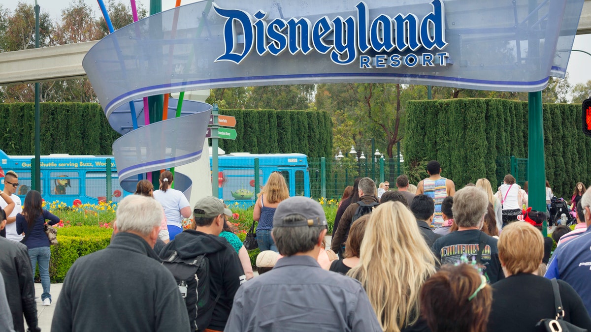 b2353caa-Disneyland iStock