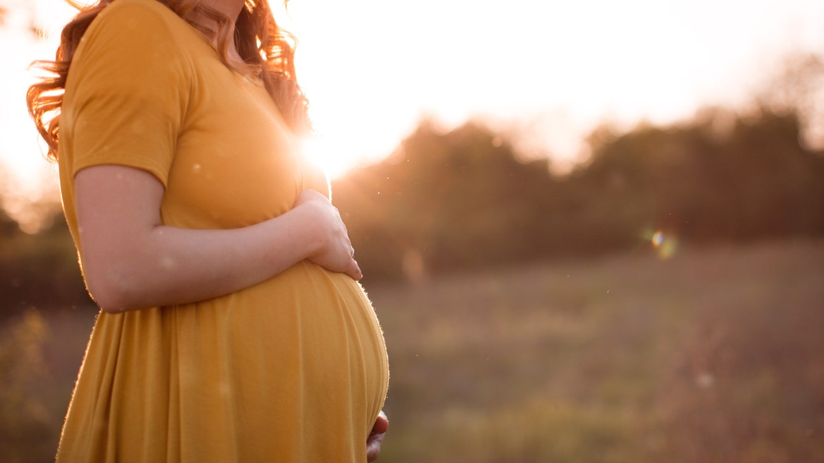 Photo of a pregnant woman relaxing in nature on a beautiful sunny day