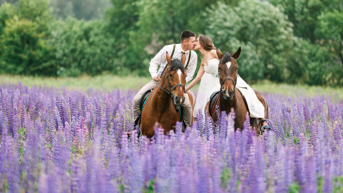 Bride on horse istock