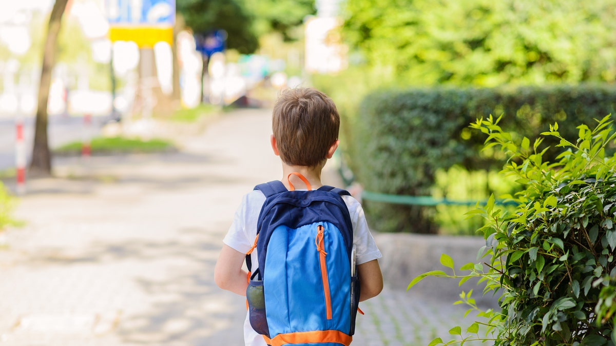 Little 7 years schoolboy going to school. Dressed in white t shirt and shorts. Blue backpack