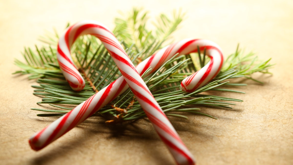 A pair of overlapping candy canes rest on top of a small pile of pines boughs. The image is captured with a very shallow depth of field.
