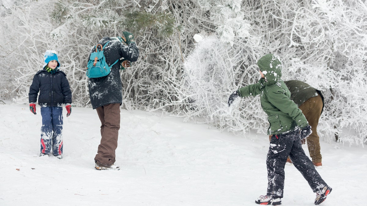 snowball fight istock