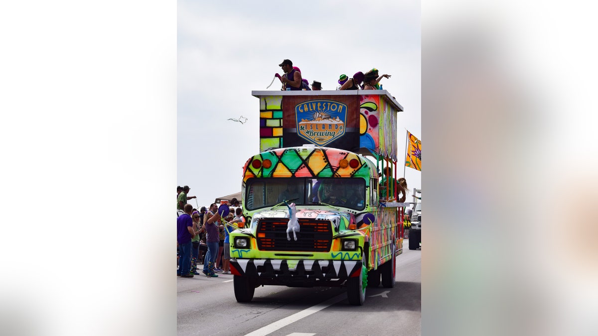 Galveston mardi gras