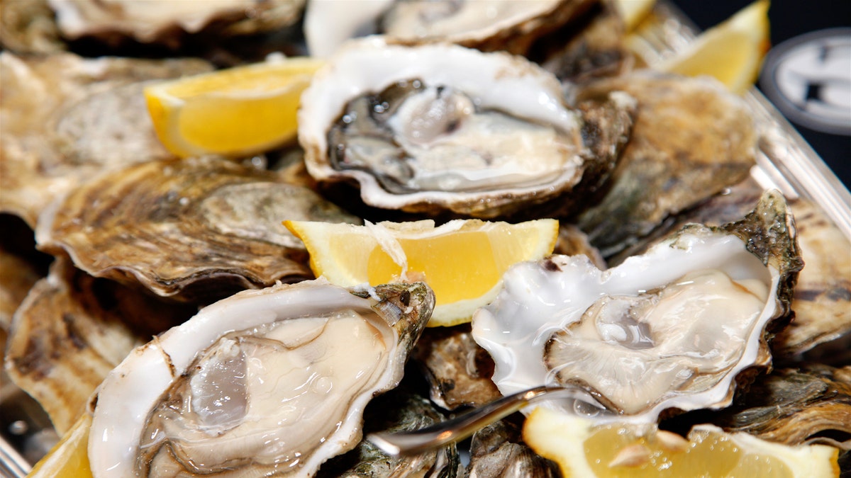 Oysters istock