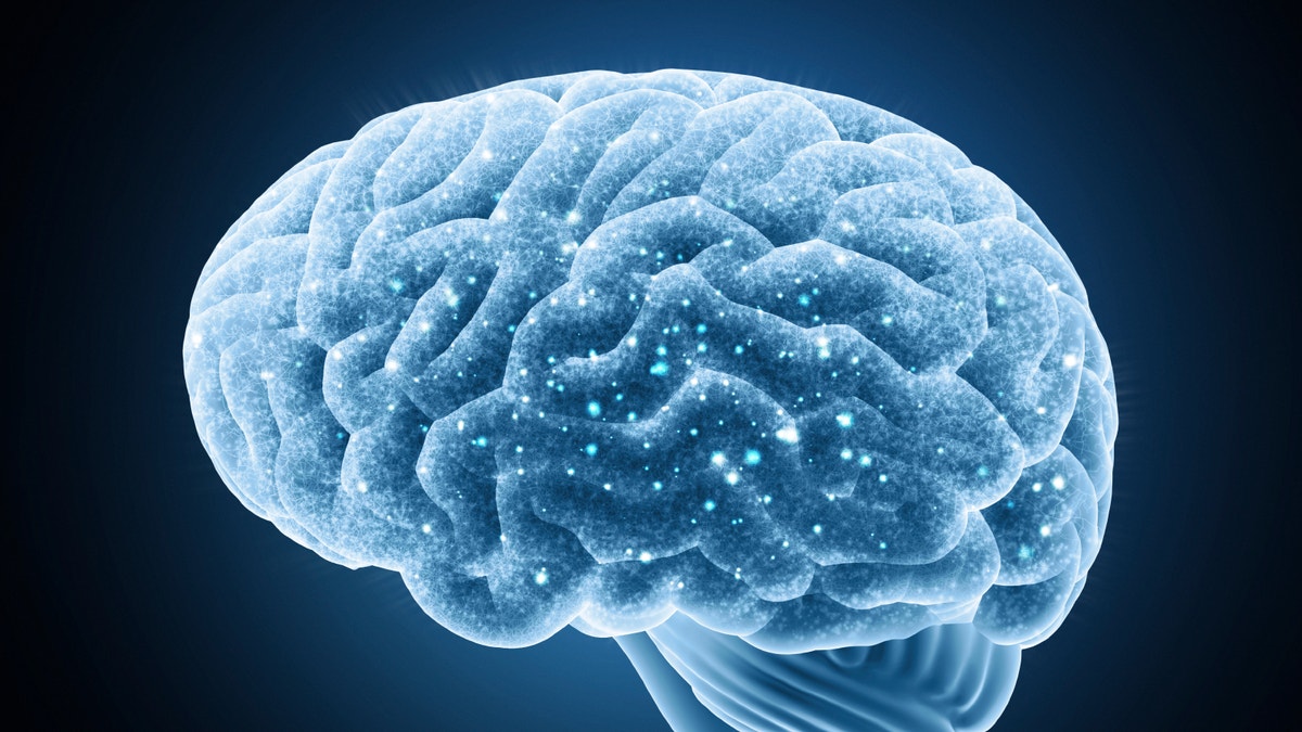 brain_nervous_system_istock