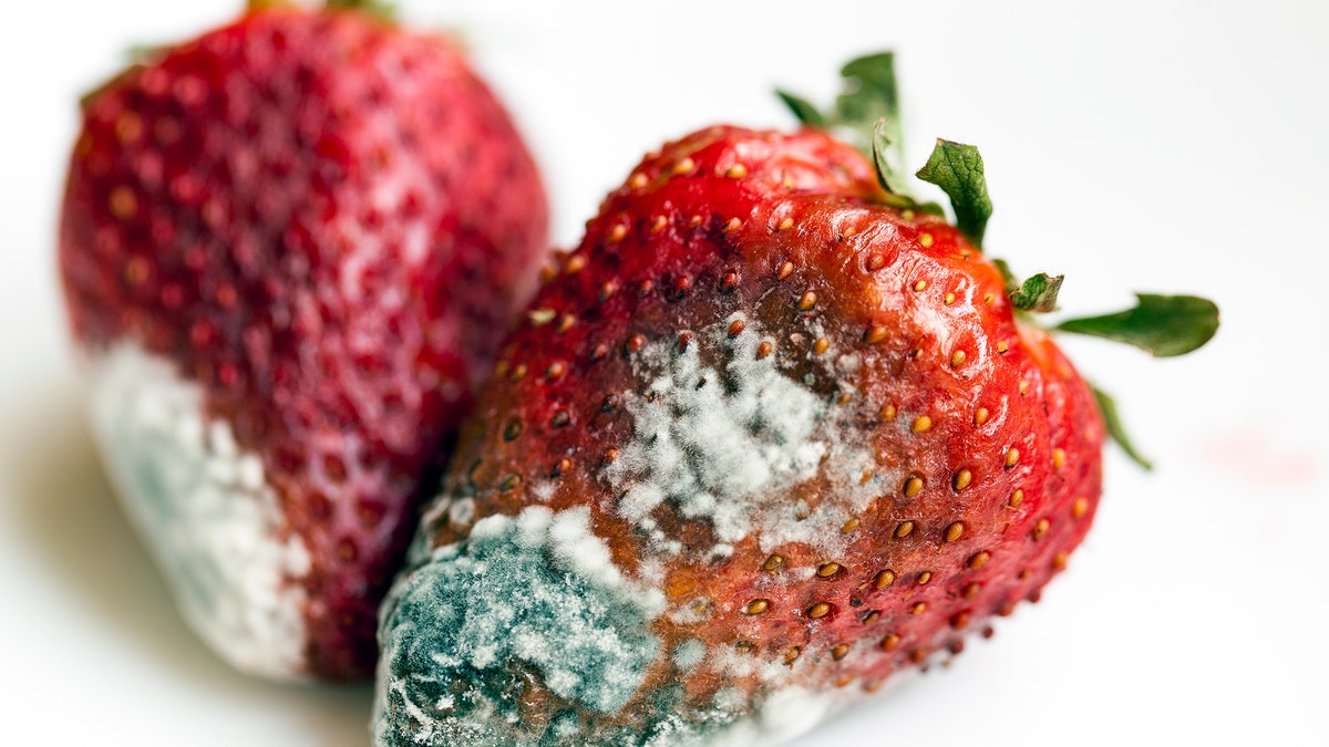 strawberries_mold_istock