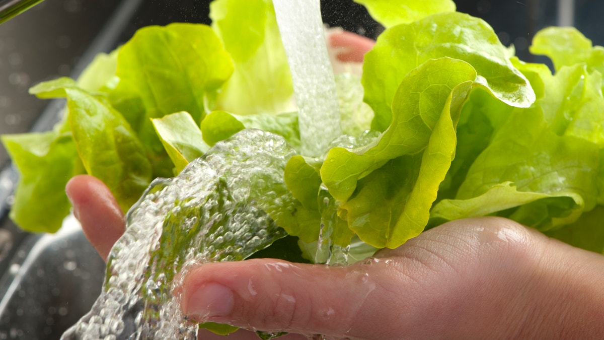 washing_lettuce_salad_istock