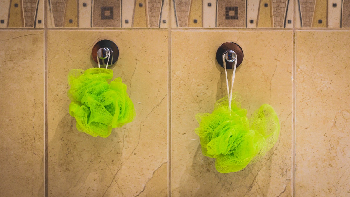 loofah_istock