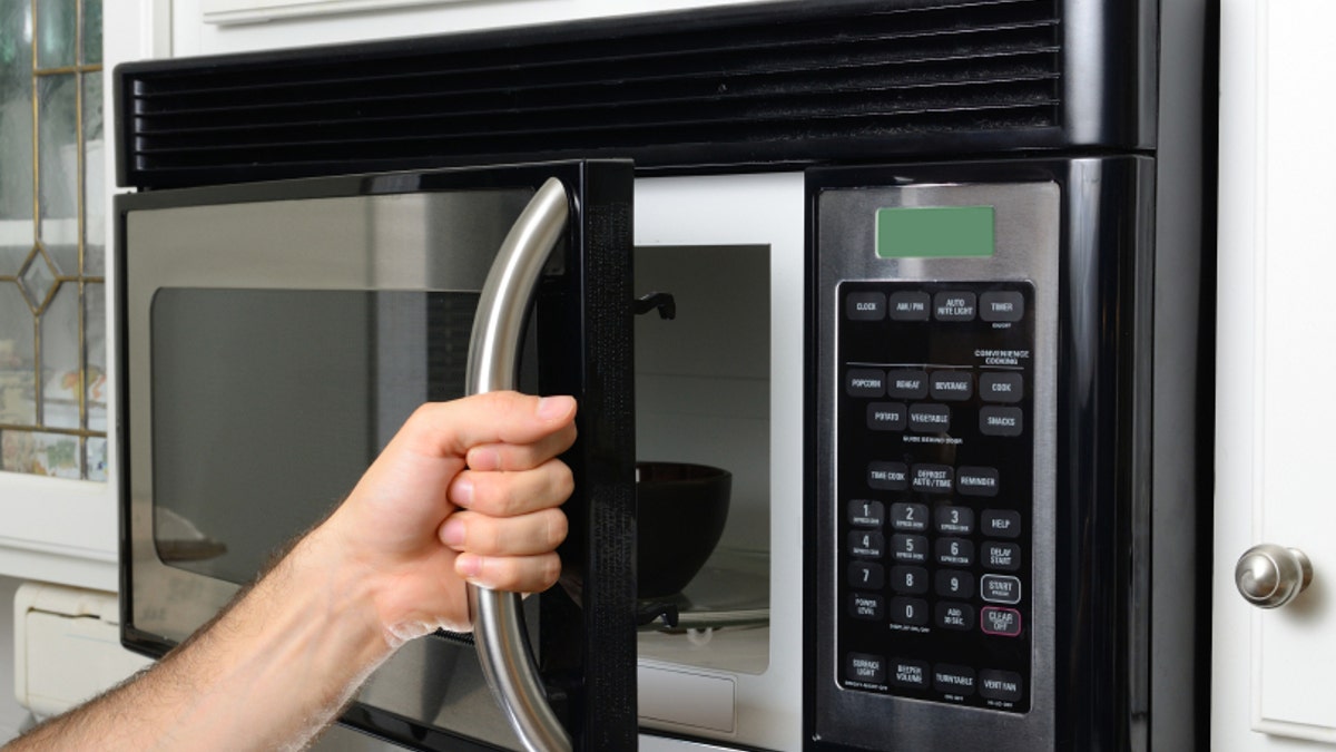 Hand Opening Microwave